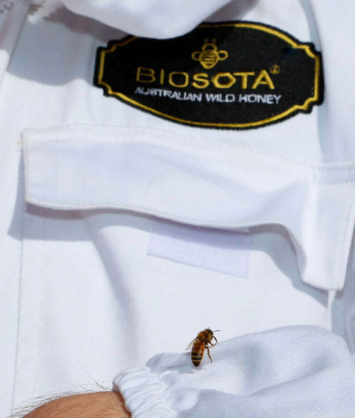 BIOSOTA Manuka Honey Lozenges Candy