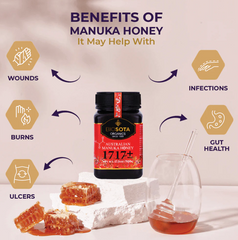 BIOSOTA Orgsanic Manuka Honey MGO 1717+
