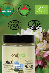 Organic Raw Wildflower Honey Unheated 500g