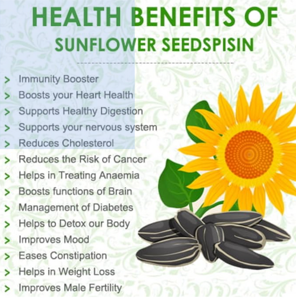 Organic Sunflower Seeds