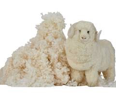 Merino Organic Wool Pillow