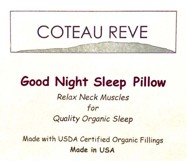 Good Night Sleep  Neck Pillow